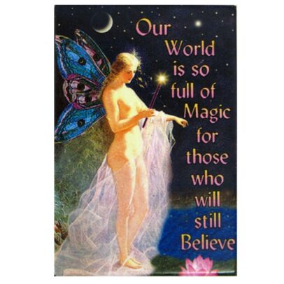 World of Magic Fairy