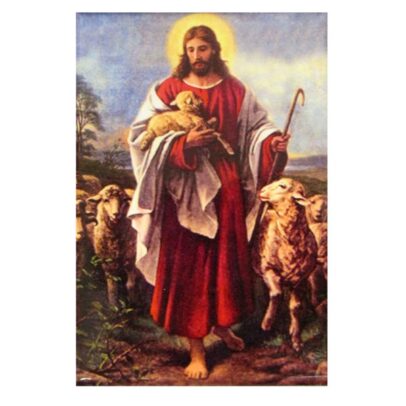 Good Shepherd