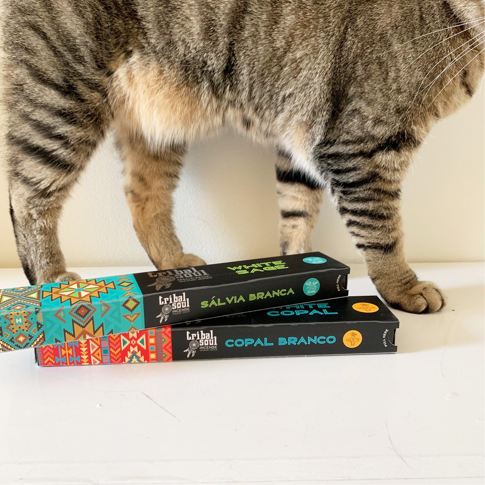 Tribal Soul Series - Hari Darshan 15gms Combo Incense Sticks (X8)