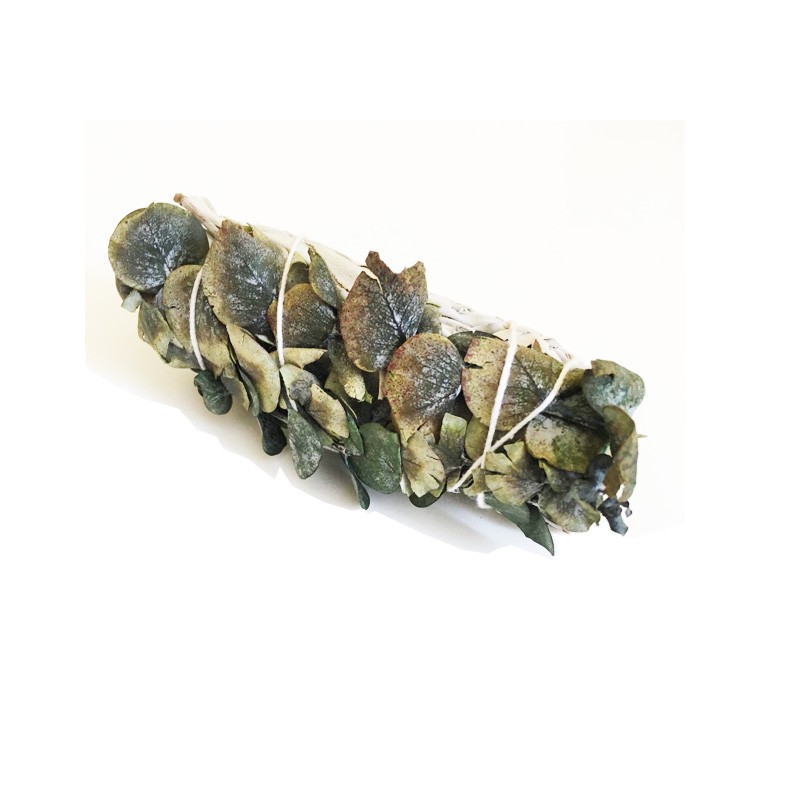 Eucalyptus - Supreme California White Sage