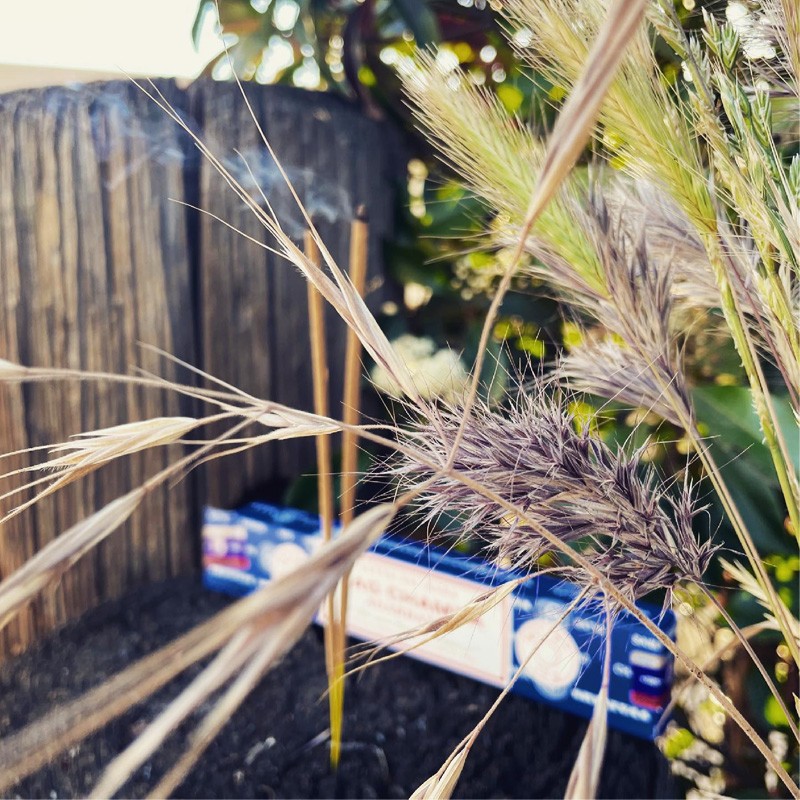 Nag Champa - Satya 15 gms Incense Sticks