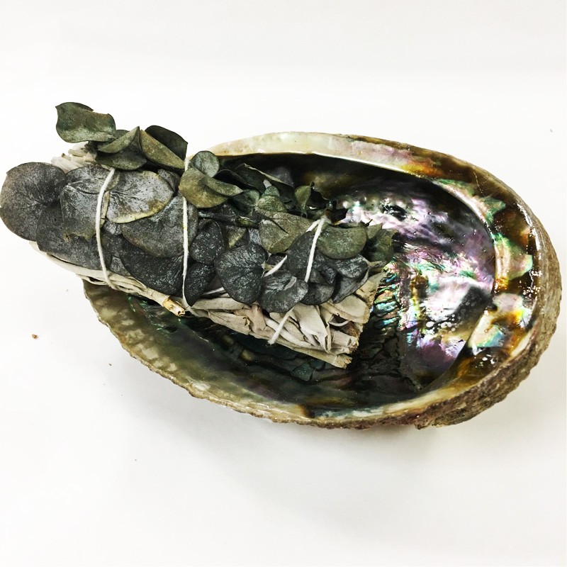 Eucalyptus - Supreme California White Sage