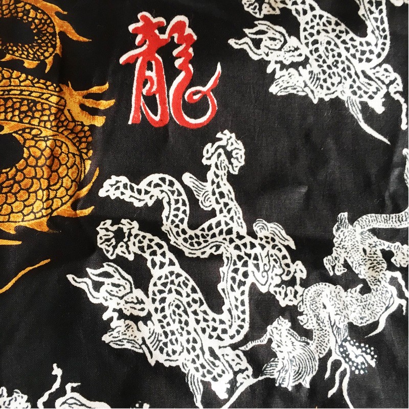 Printed 2-in-1 Textile - Dragons